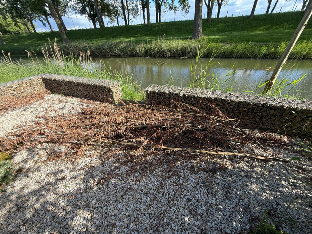 Gratis wilgentakken, Ophalen