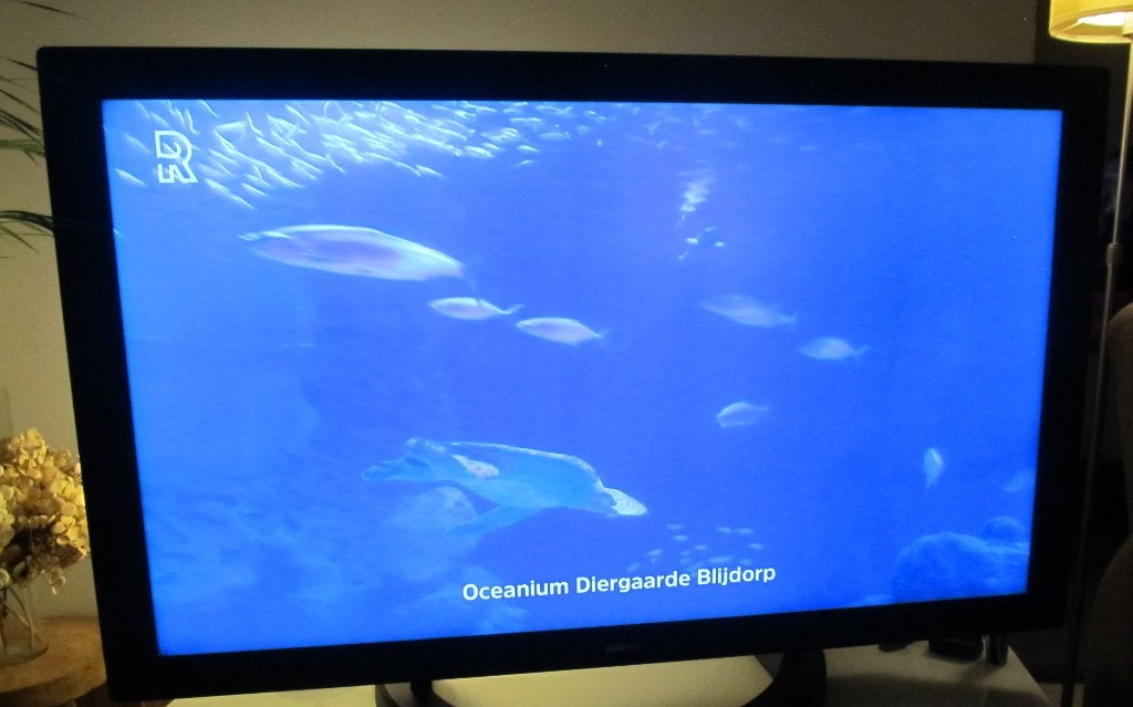 Bose televisie video wave entertainement system, Overige merken, 120 Hz, Ophalen of Verzenden, 100 cm of meer