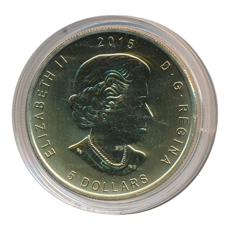 Canada 1 ounce zilver 2015 Grote Hoornuil verguld, Ophalen of Verzenden, Zilver
