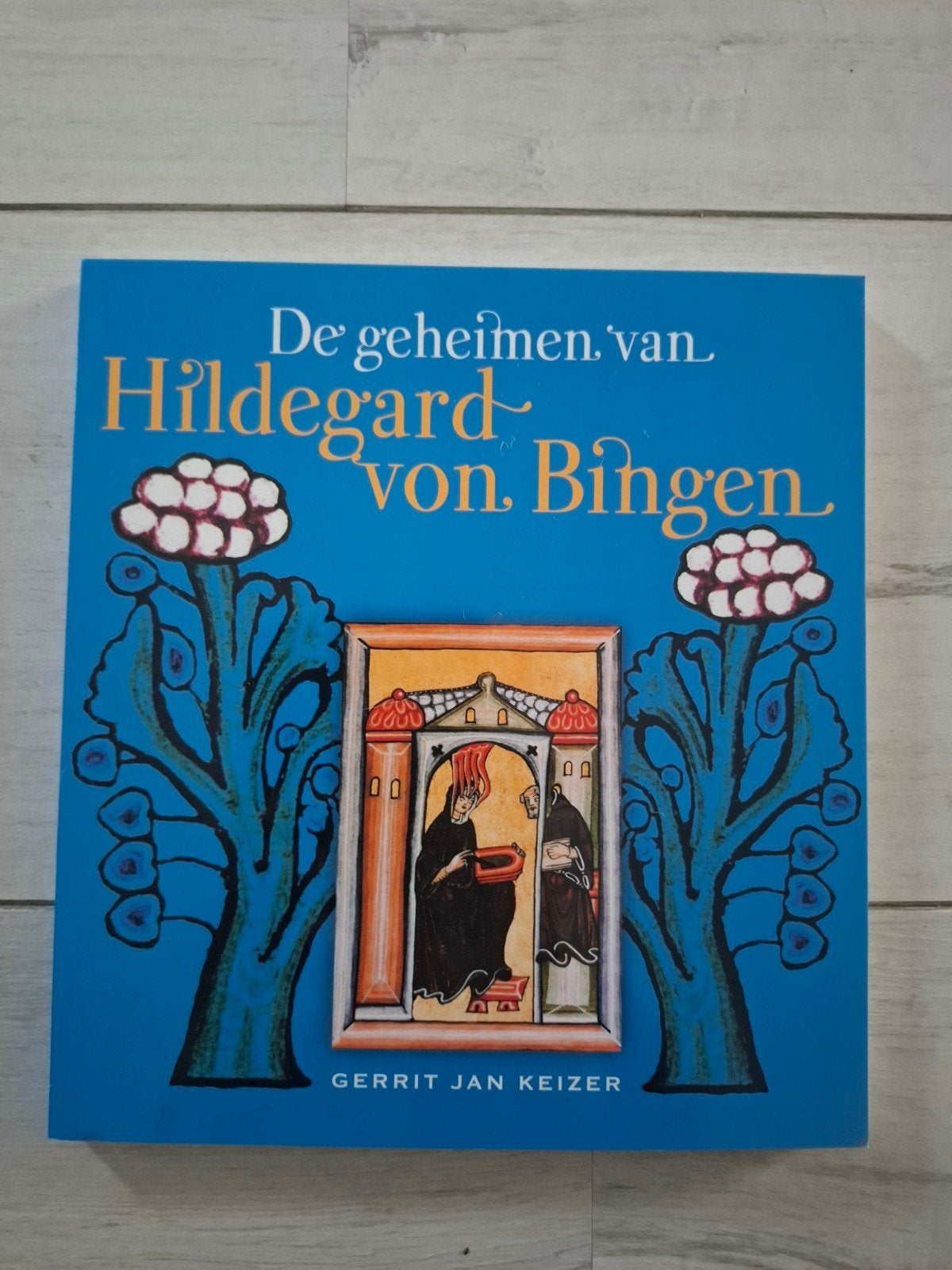 De geheimen van Hildegard von Bingen, Boeken, Esoterie en Spiritualiteit, Ophalen of Verzenden, Nieuw, Overige typen
