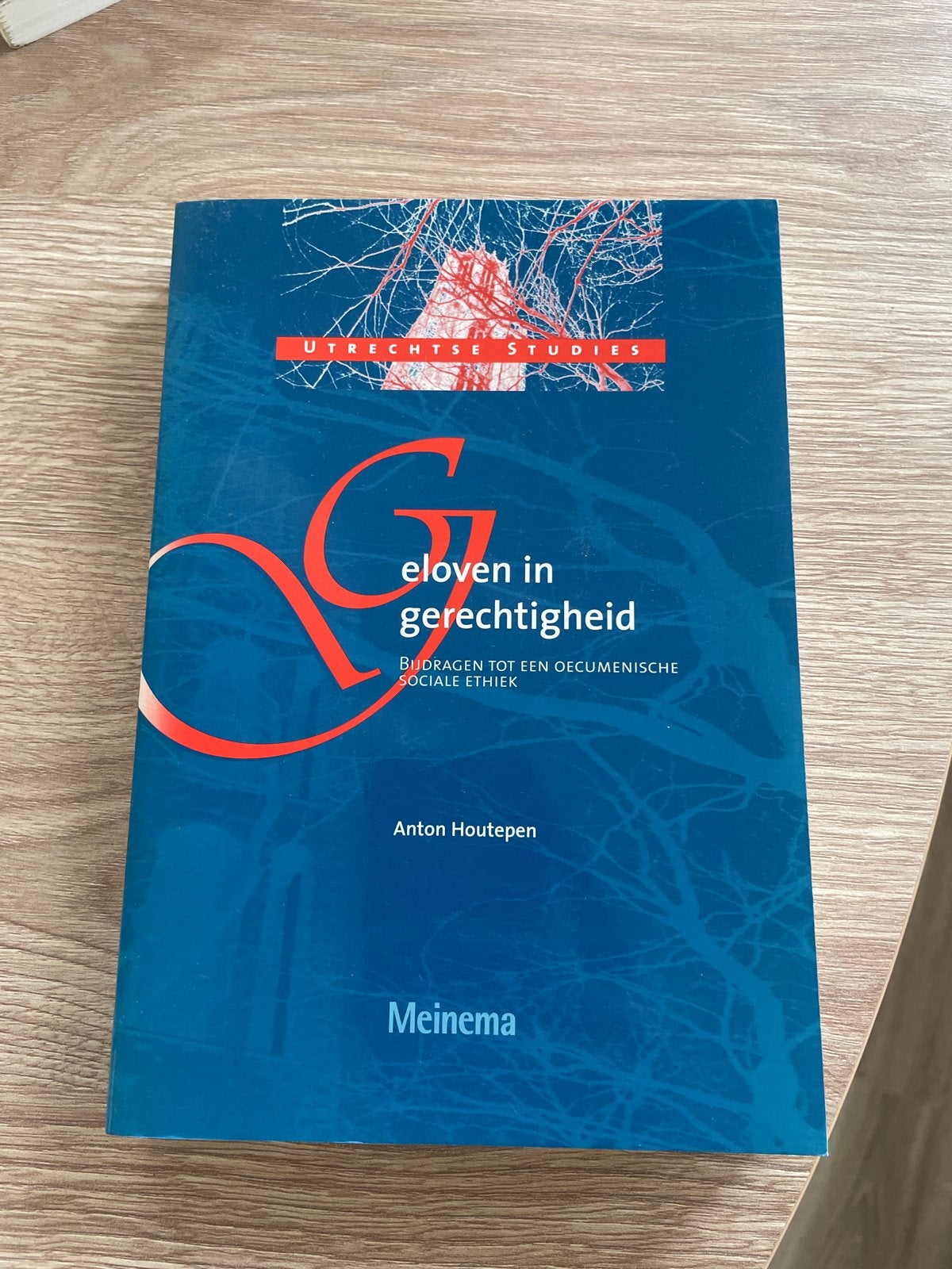 Geloven in Gerechtigheid - Anton Houtepen (Utrechtse Studies, Ophalen of Verzenden, Zo goed als nieuw, Christendom | Katholiek
