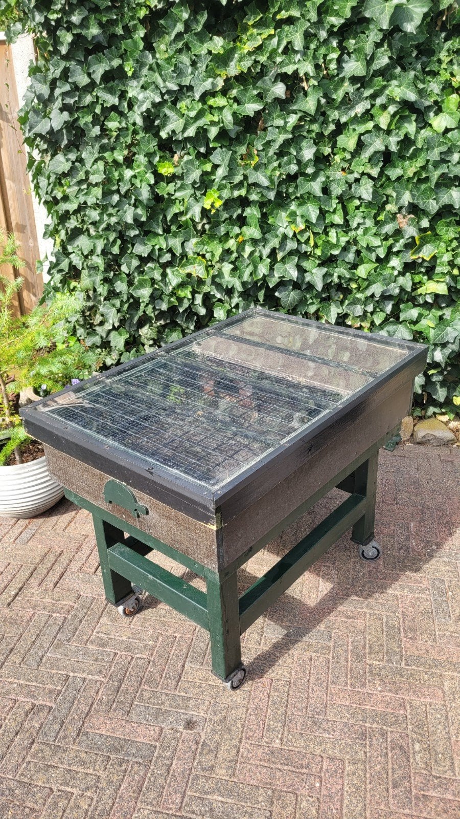 kweekbak om reptielen schildpadden enz op te kweken., Ophalen, Zo goed als nieuw