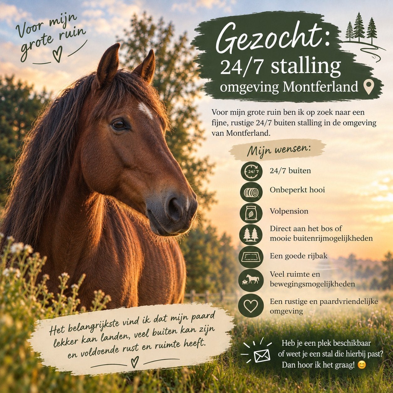Stalling omgeving Montferland gezocht, Dieren en Toebehoren, Stalling