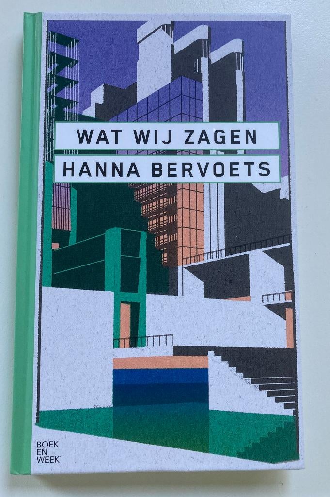 Wat wij zagen, Boeken, Ophalen of Verzenden, Zo goed als nieuw, Hanna Bervoets