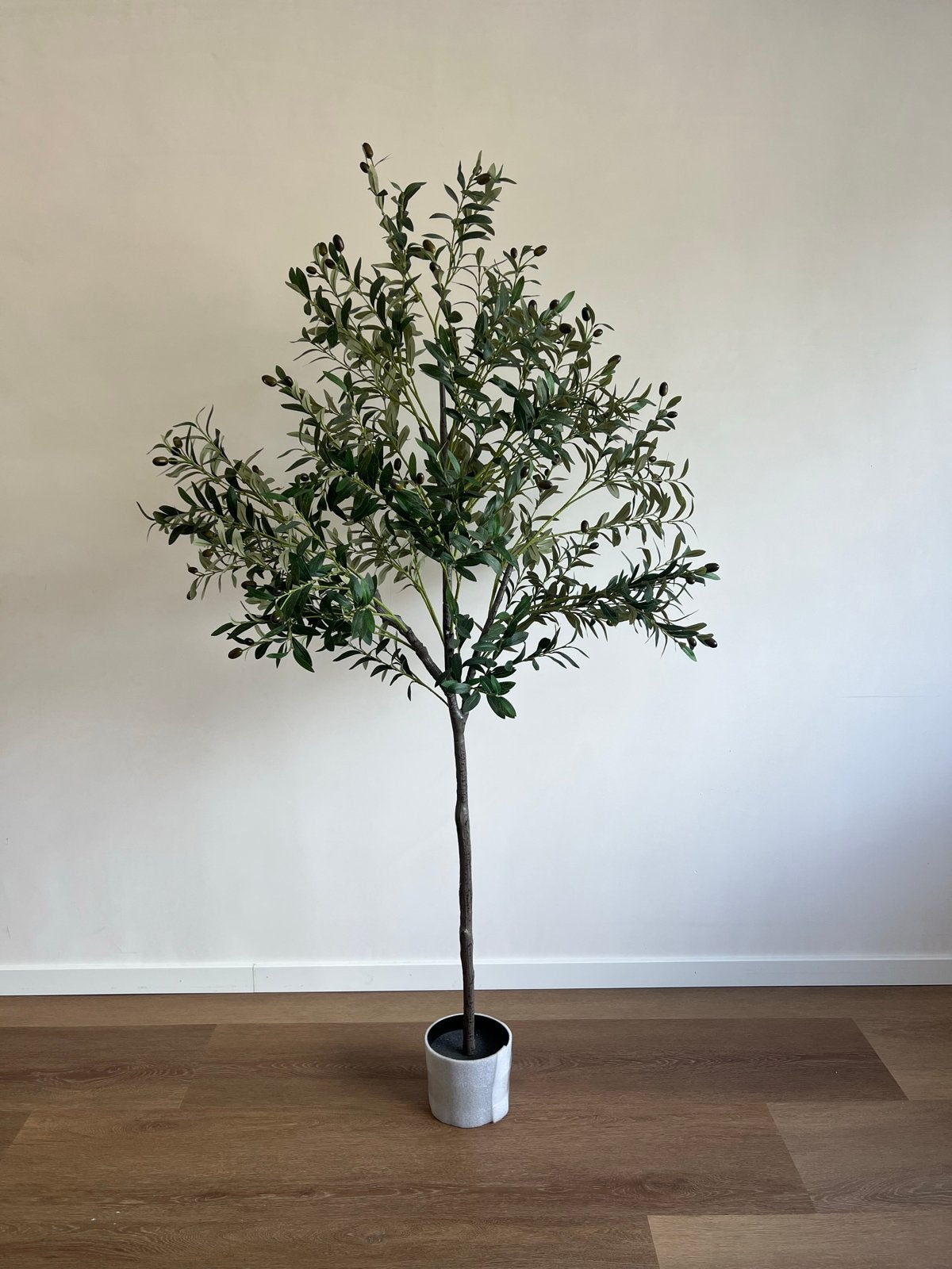 Nieuwe Kunst Olijfboom 180 cm, Ophalen, Binnen, Groen, Kunstplant