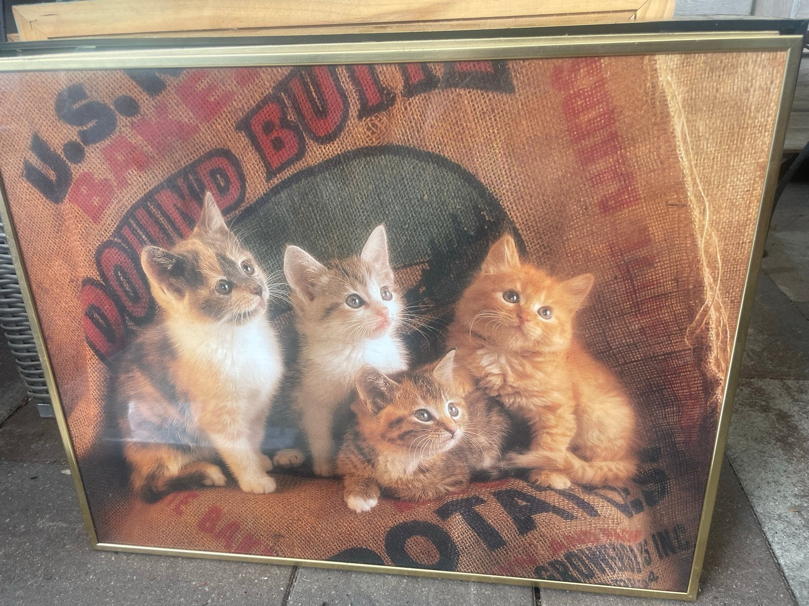 Diverse ingelijste prints en schilderijen, Ophalen, Minder dan 50 cm, Gebruikt, Print
