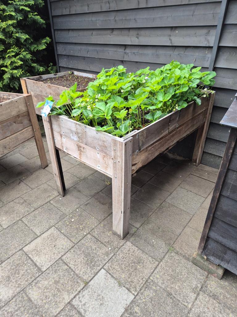 Azobe groentebak, Tuin en Terras, Kweekspullen, Ophalen, Nieuw, Kweekbak