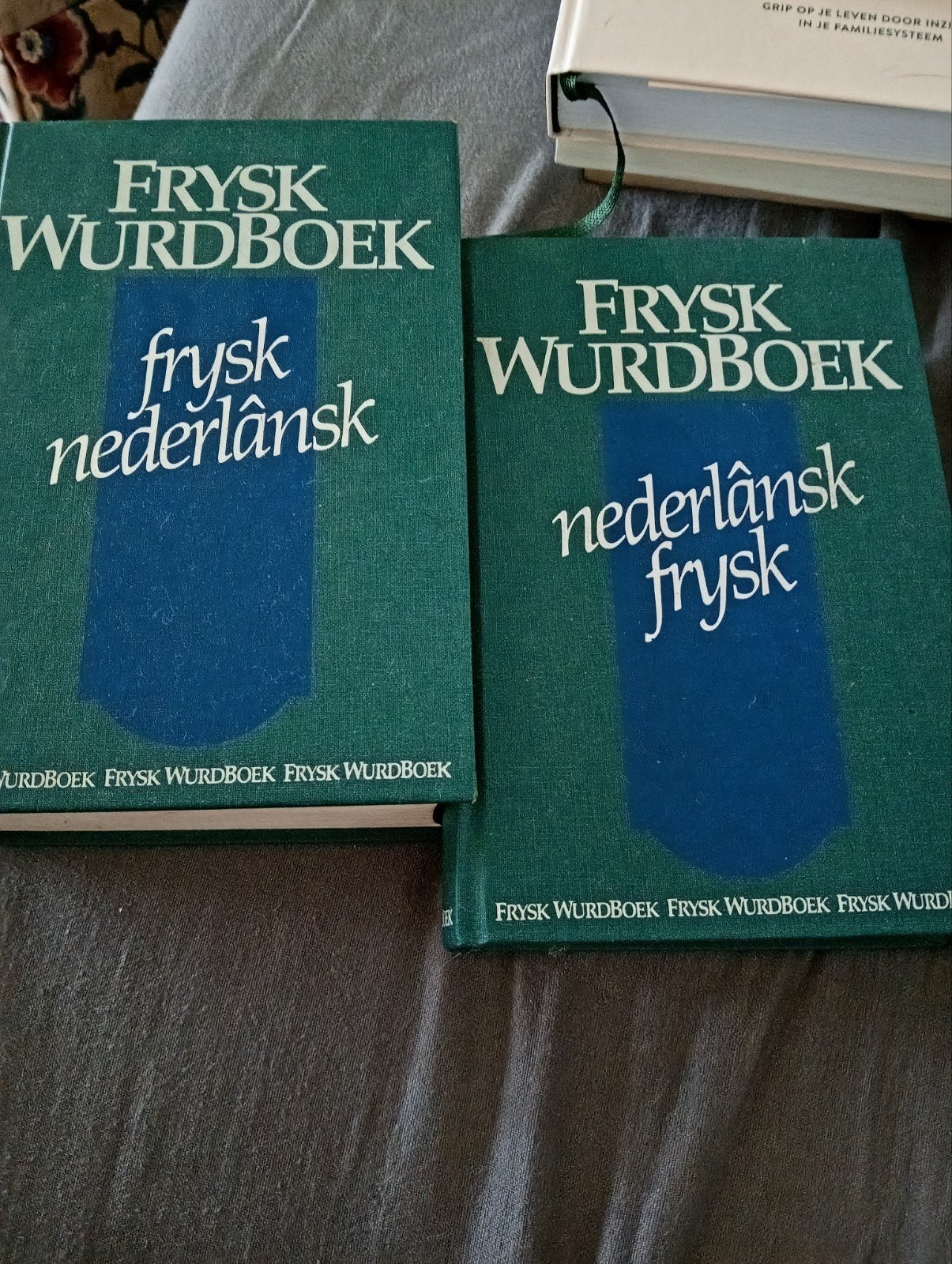 Frysk Wurdboek - Frysk-Nederlânsk & Nederlânsk-Frysk, Ophalen of Verzenden, Zo goed als nieuw, J.W. Zantema, W. Visser, Overige uitgevers