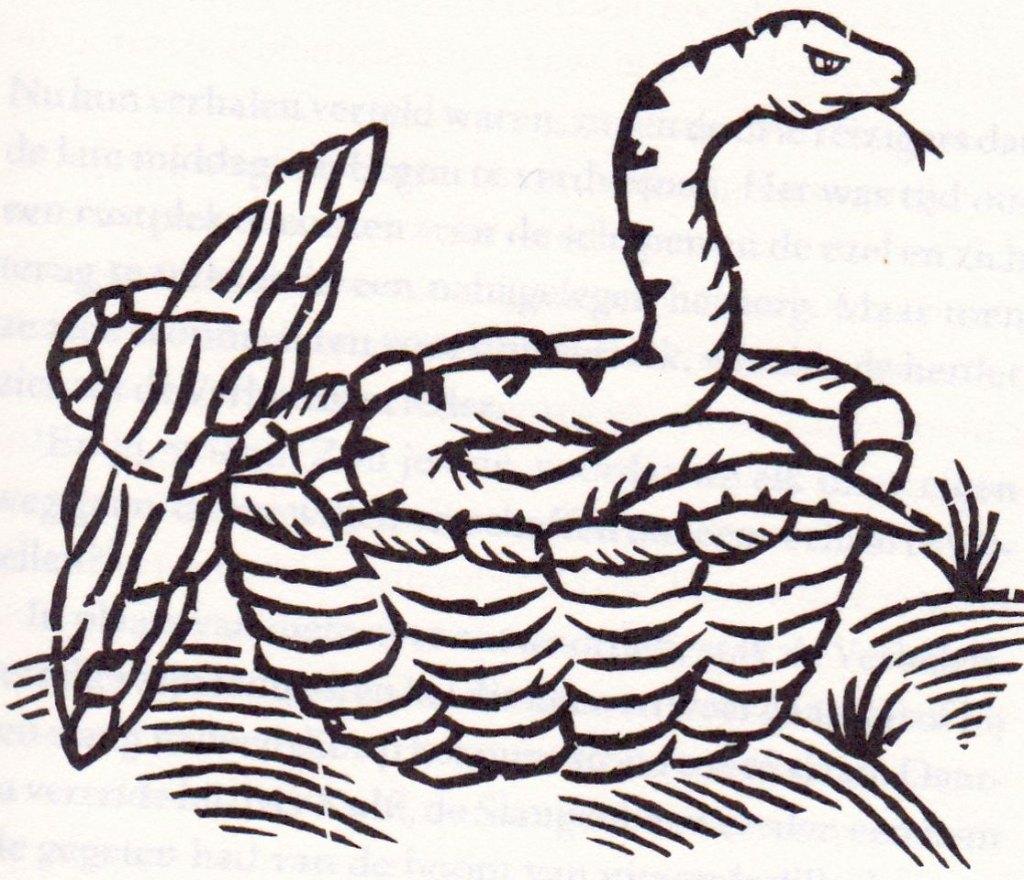 Davis, Joann - Het boek van de herder (2009 1e dr.), Boeken, Ophalen of Verzenden, Nieuw