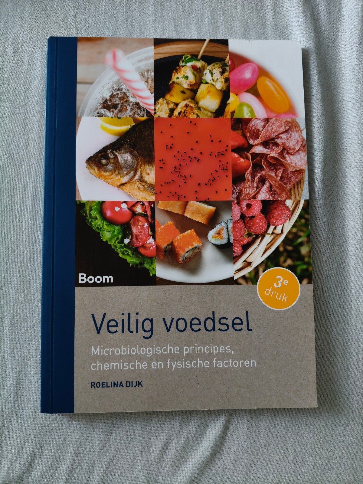 Veilig voedsel - Microbiologische principes (3e druk), Zo goed als nieuw, Beta, Roelina Dijk, HBO