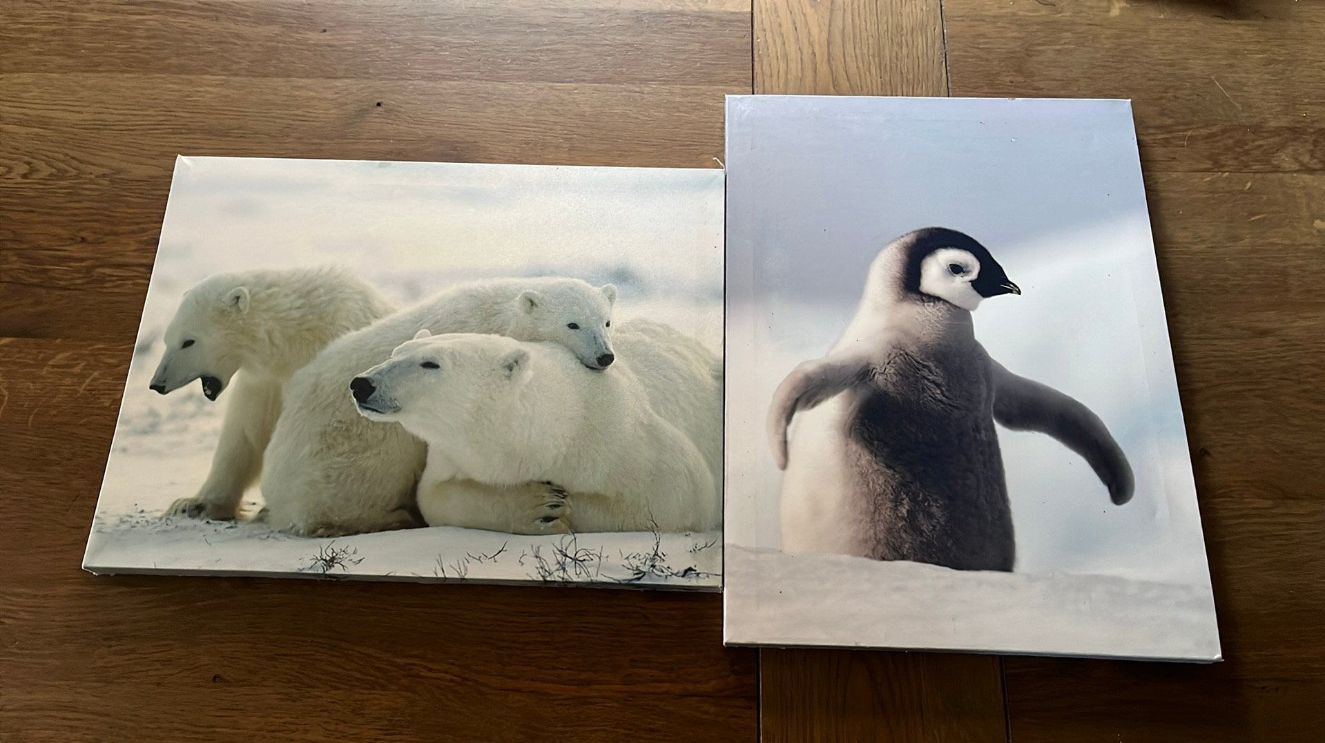 2 oude canvas afdrukken, Minder dan 50 cm, Gebruikt, Ophalen of Verzenden, Print