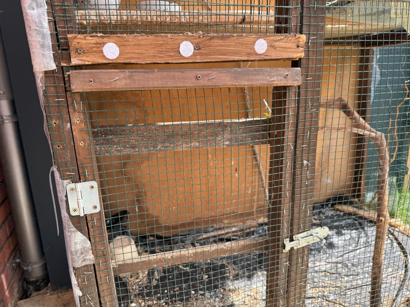 Grote kooi , gratis ophalen in Zevenaar, Ophalen of Verzenden, Gebruikt, Metaal, Vogelkooi