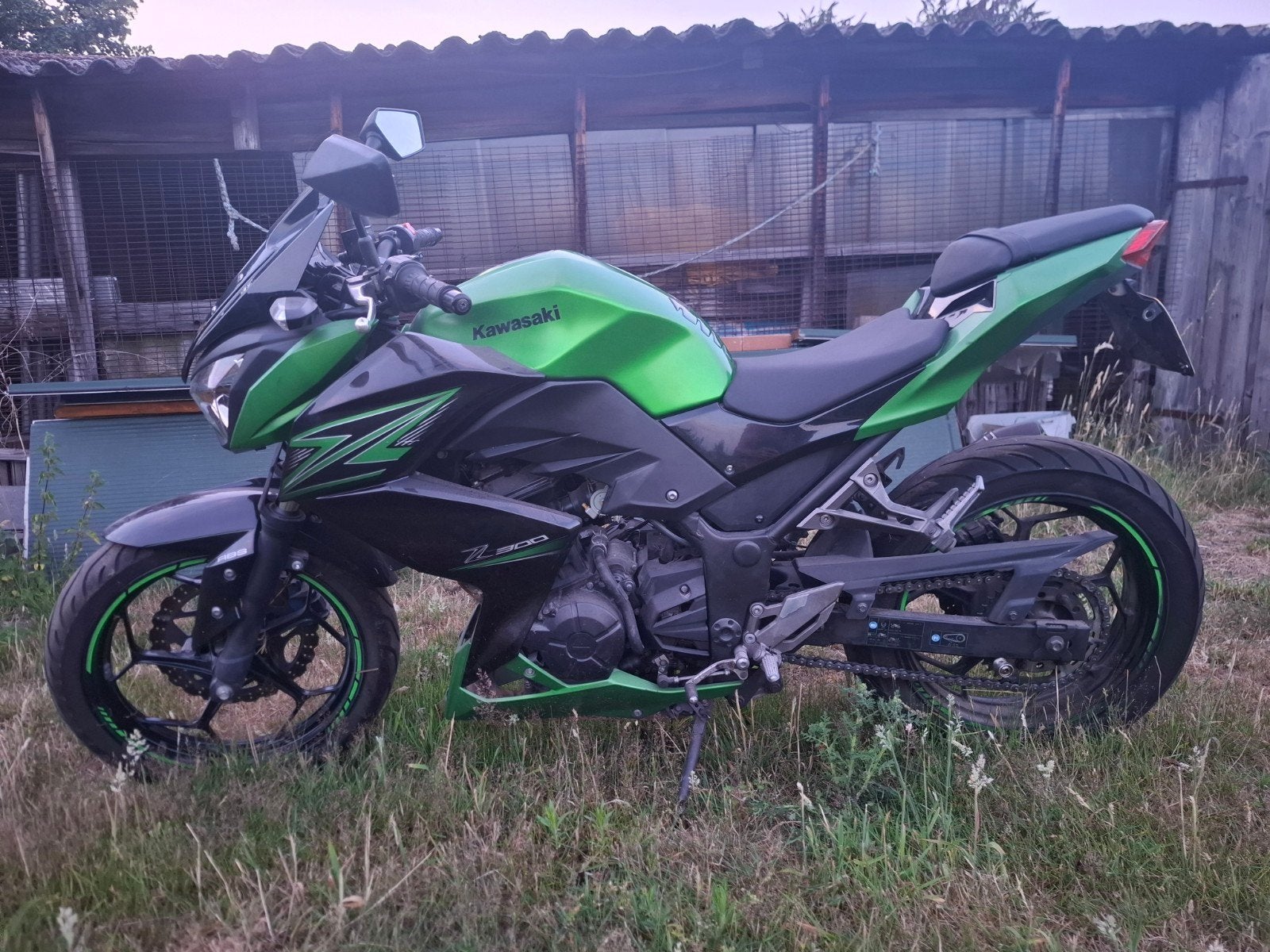 Kawasaki Z300 2015 - lees beschrijving, Motoren, Ophalen of Verzenden, Gebruikt