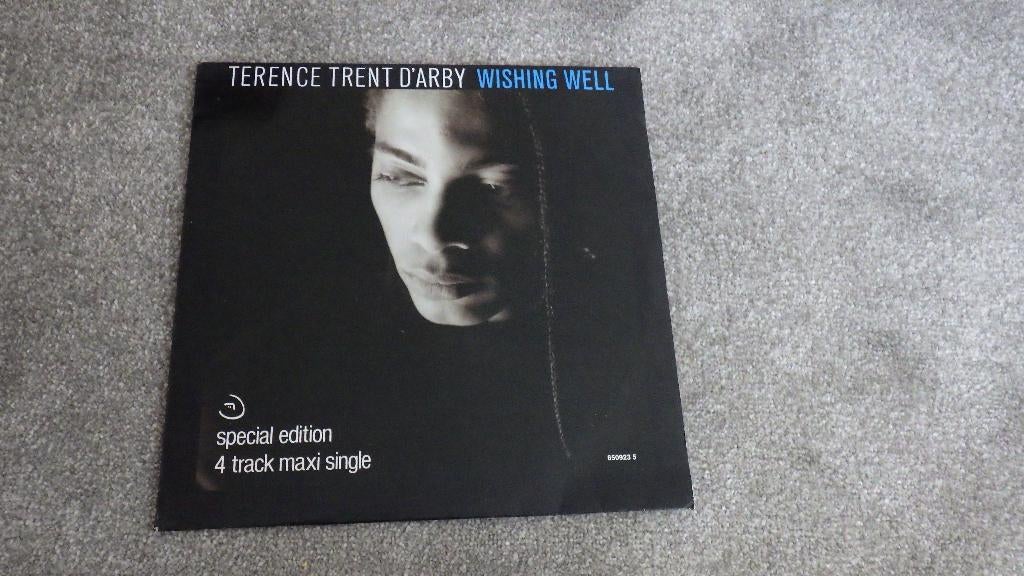 mooie Maxi single terence trent d"arby, Ophalen of Verzenden, Overige typen