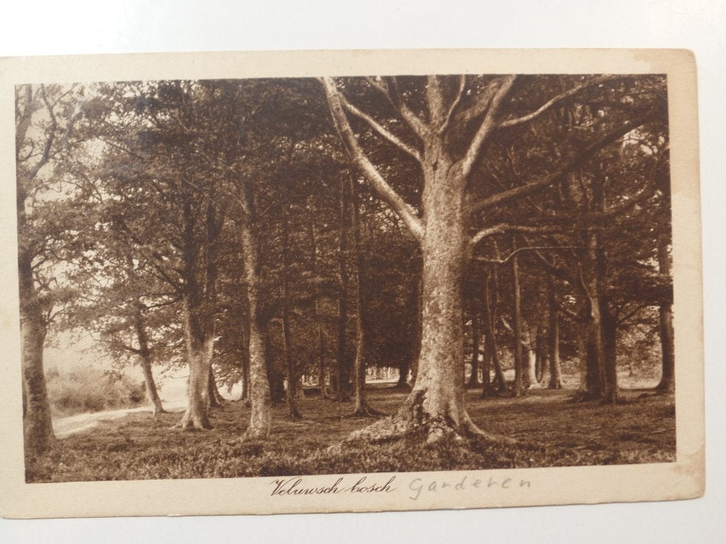 Veluwe Garderen, Verzenden, 1940 tot 1960, Gelopen, Gelderland