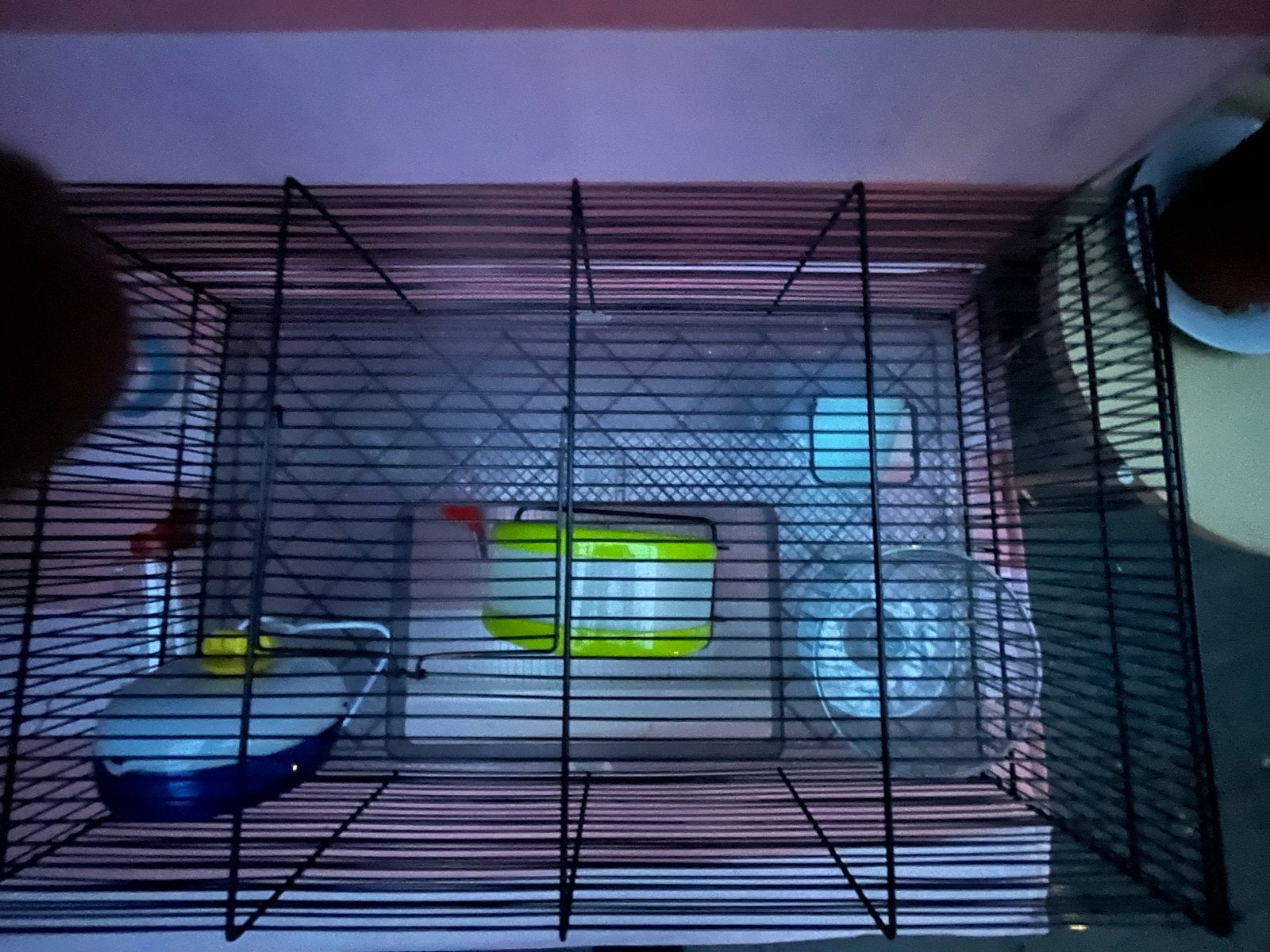 Hamsterhok, Ophalen