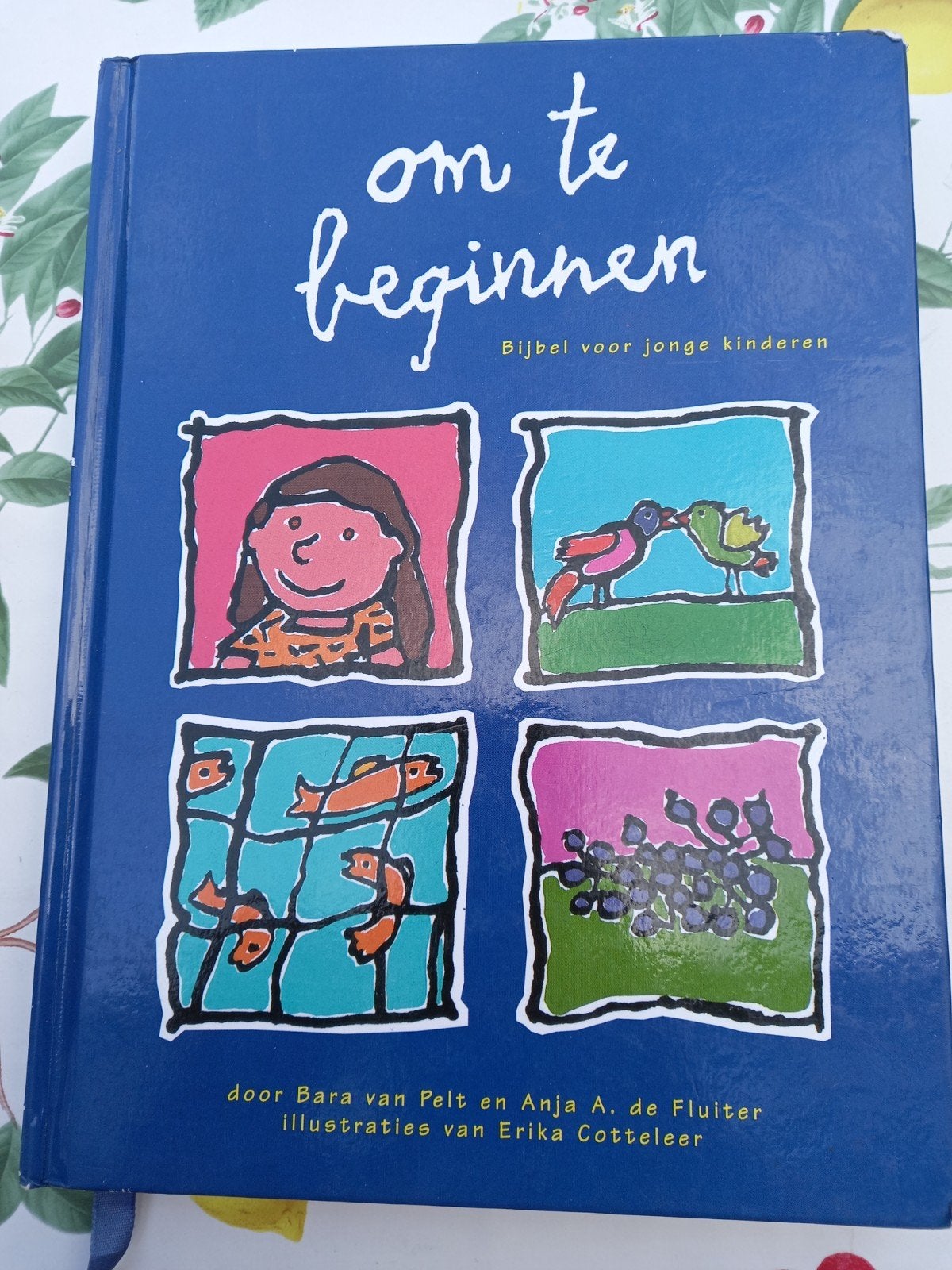 N B. van Pelt - Om te beginnen, Gelezen, Non-fictie, B. van Pelt; A.A. de Fluiter, Ophalen of Verzenden