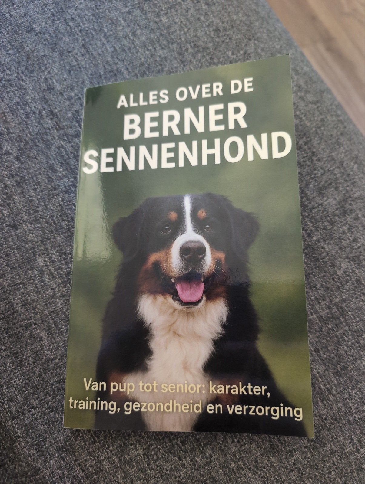 Alles over de Berner Sennenhond: Van pup tot senior, Honden, Ophalen of Verzenden, Zo goed als nieuw, Andries B.V.