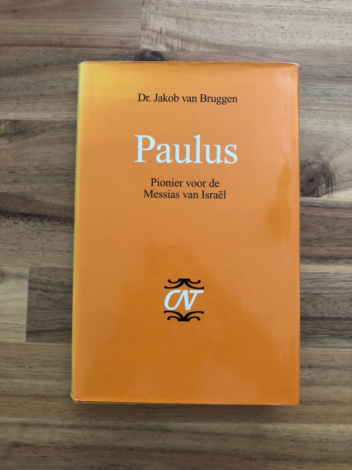 Paulus: Pionier voor de Messias van Israël (2001), Boeken, Ophalen of Verzenden, Gelezen, Christendom | Katholiek