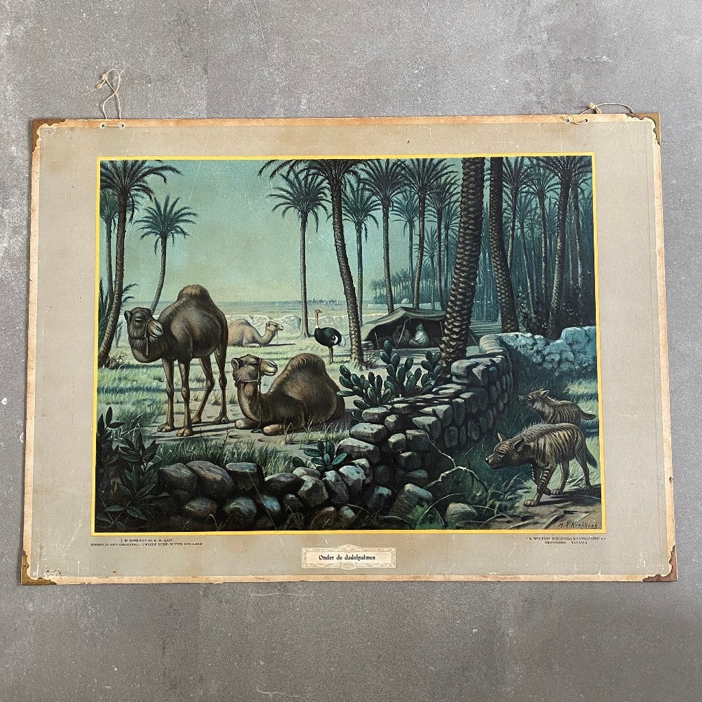 Schoolplaat Onder de dadelpalmen – Koekkoek 1934, Antiek en Kunst, Antiek | Schoolplaten, Ophalen of Verzenden, Natuur en Biologie