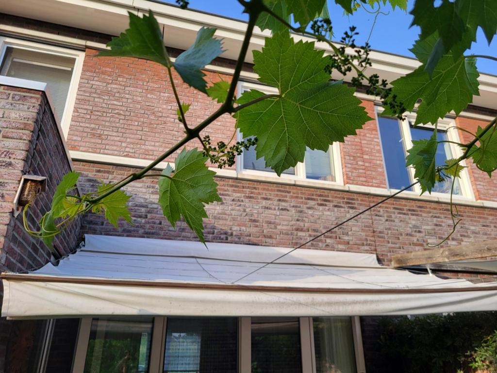Zonneluifel met latjes en ophangsysteem 4.50x3.60m, Ophalen, Gebruikt, Overige typen, 450 cm of meer