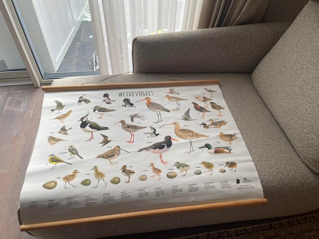 Stevige poster weidevogels vogelbescherming, Verzamelen, Ophalen