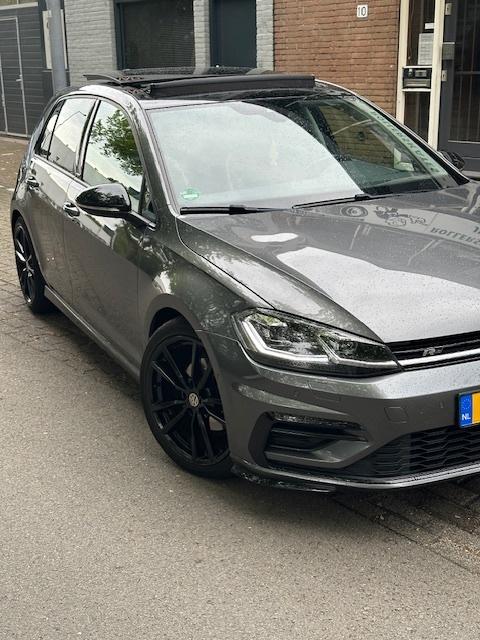 Volkswagen Golf 1.6 TDI 115pk 7-DSG 2019 Grijs R-Line, 4 cilinders, Diesel, 1275 kg, 1500 kg