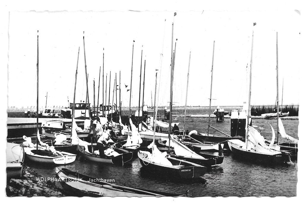 AK Wolphaartsdijk - Jachthaven, Ophalen of Verzenden, Ongelopen, Noord-Brabant