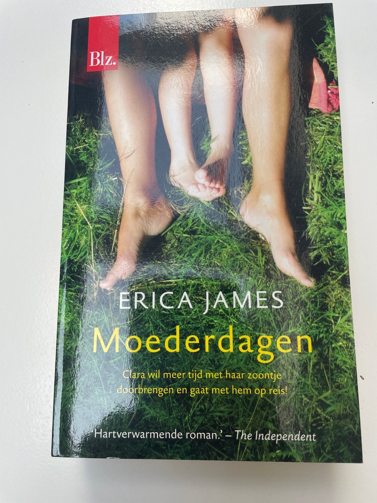 Moederdagen - Erica James (roman), Ophalen of Verzenden, Zo goed als nieuw, Europa overig