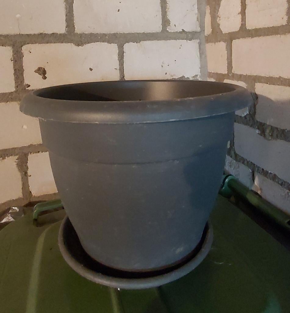 Tuinpot rond incl schotel, Ophalen, Gebruikt, Rond, Kunststof