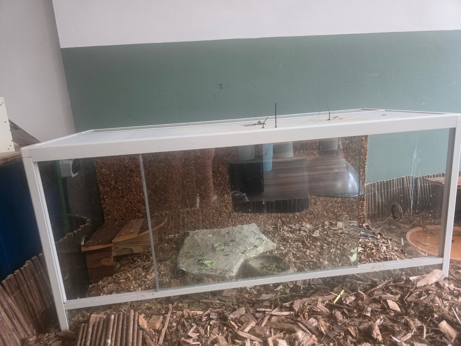 Terrarium, Dieren en Toebehoren, Ophalen