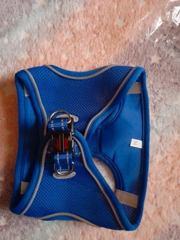 honden tuigje harnas maat M blauw, Verzenden, Nieuw, Hondentuig