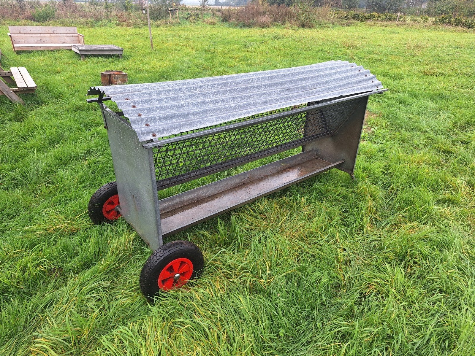 Verrijdbare hooiruif (schapen), Meerdere dieren, Schaap