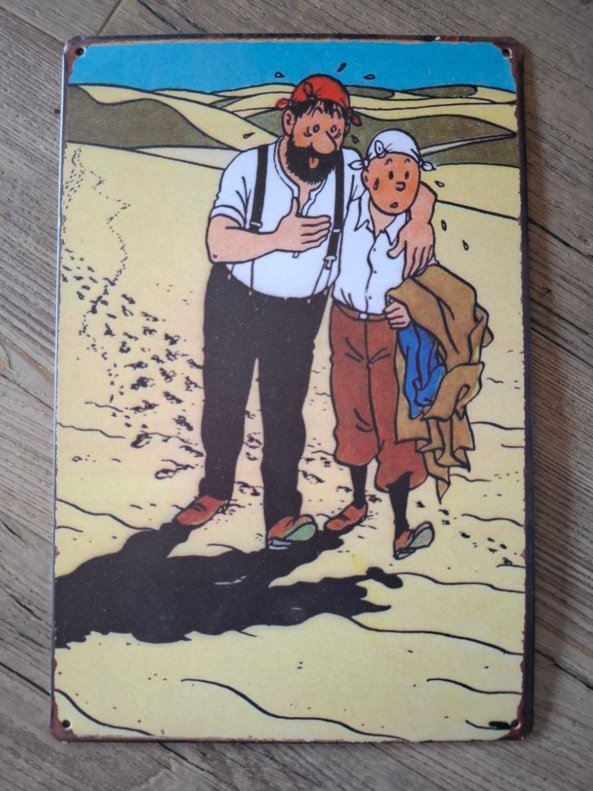 metalen bord met Kuifje en Kapitein Haddock 20 x 30 cm, Ophalen of Verzenden, Zo goed als nieuw, Meerkleurig, Metaal