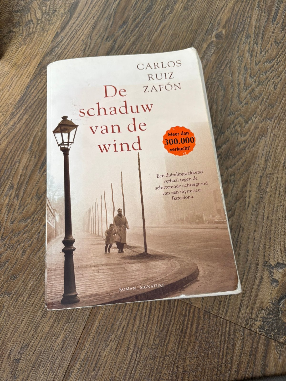 De Schaduw van de Wind boek, Boeken, Ophalen of Verzenden, Tweede Wereldoorlog, Zo goed als nieuw