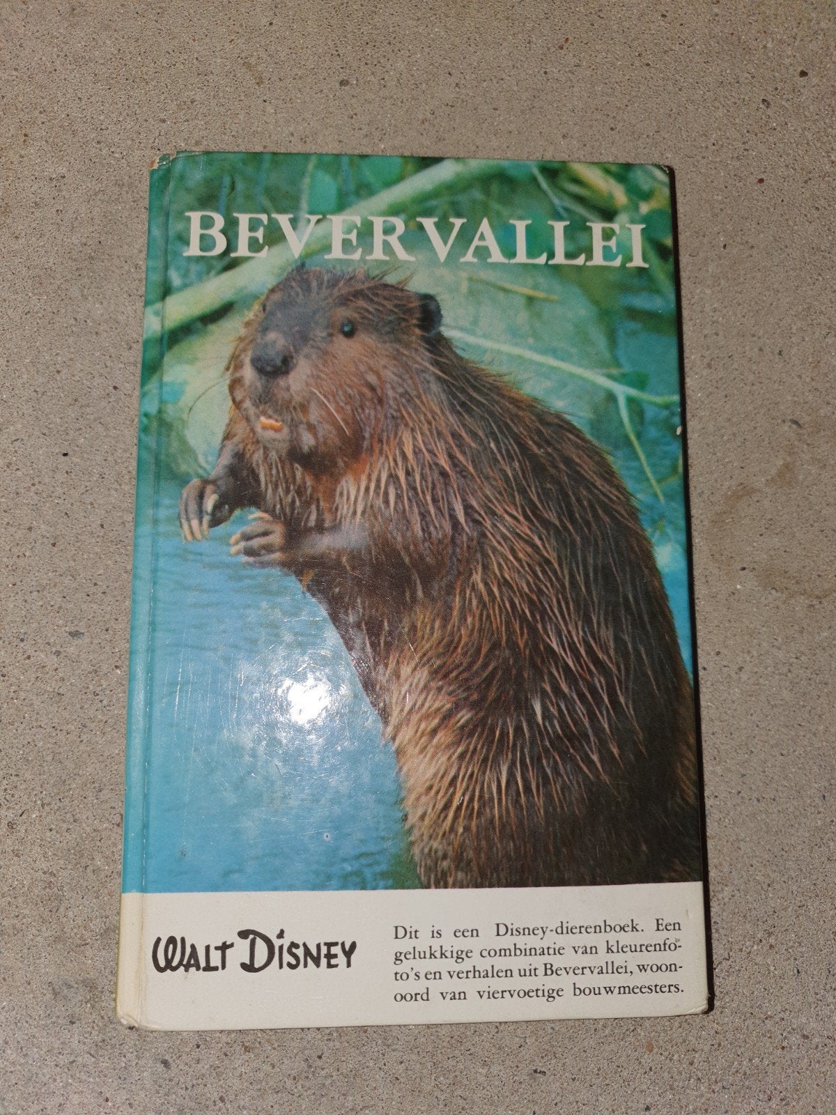 Walt Disney boekje 'Bevervallei'!, Ophalen of Verzenden, Gelezen, Overige diersoorten