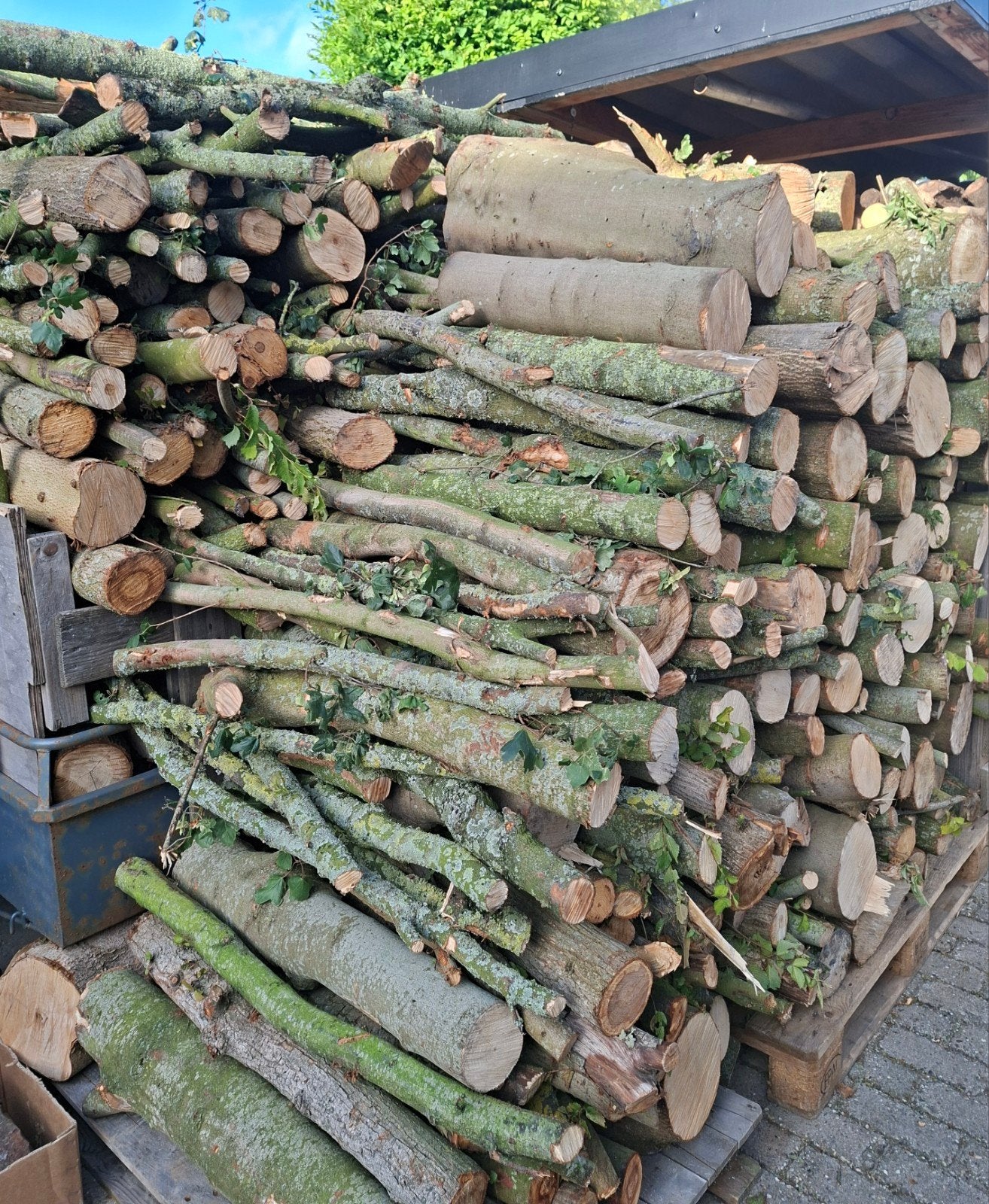 Grote partij haardhout, diverse houtsoorten, Tuin en Terras, Haardhout, 3 tot 6 m³, Ophalen of Verzenden