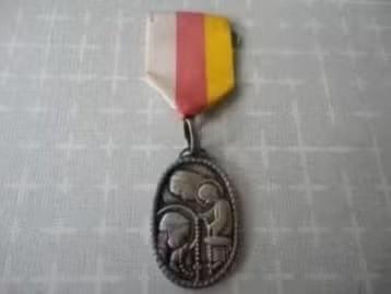 medaille Pelerinage du Rosaire a Notre Dame de Lourdes, Verzenden, Overige materialen, Buitenland