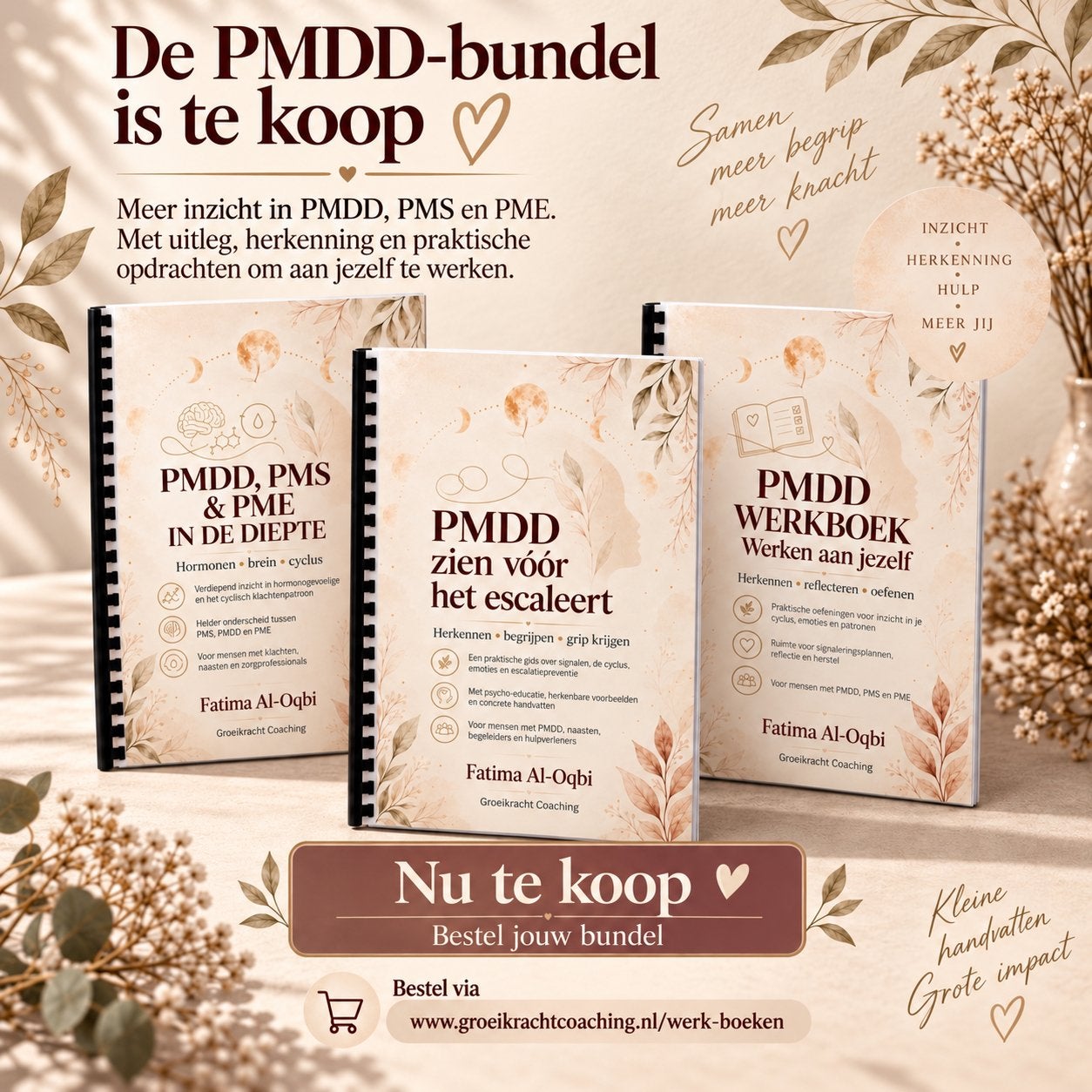 PMDD, PMS & PME Boekenbundel:Herkennen, Begrijpen, Toepassen, Boeken, Ophalen of Verzenden, Nieuw, Klinische psychologie