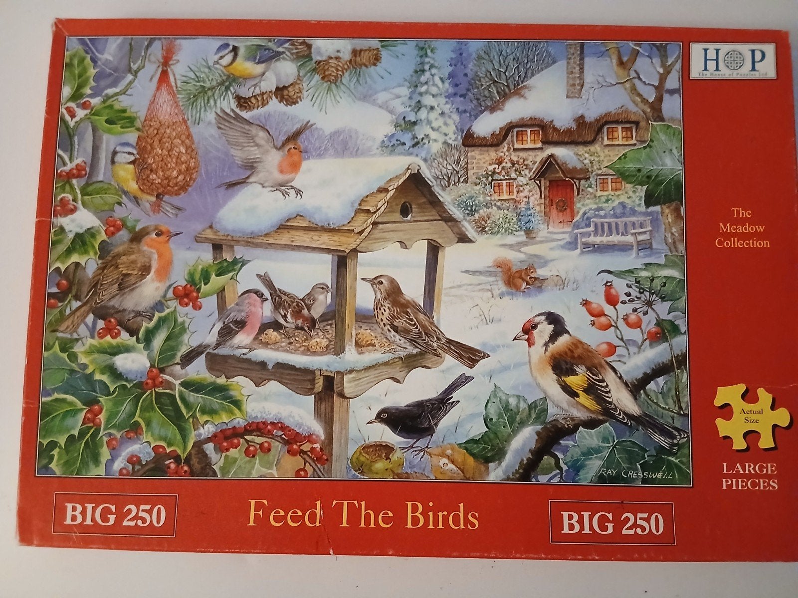 Puzzel wintervogels 250 stukken, Ophalen of Verzenden, Minder dan 500 stukjes