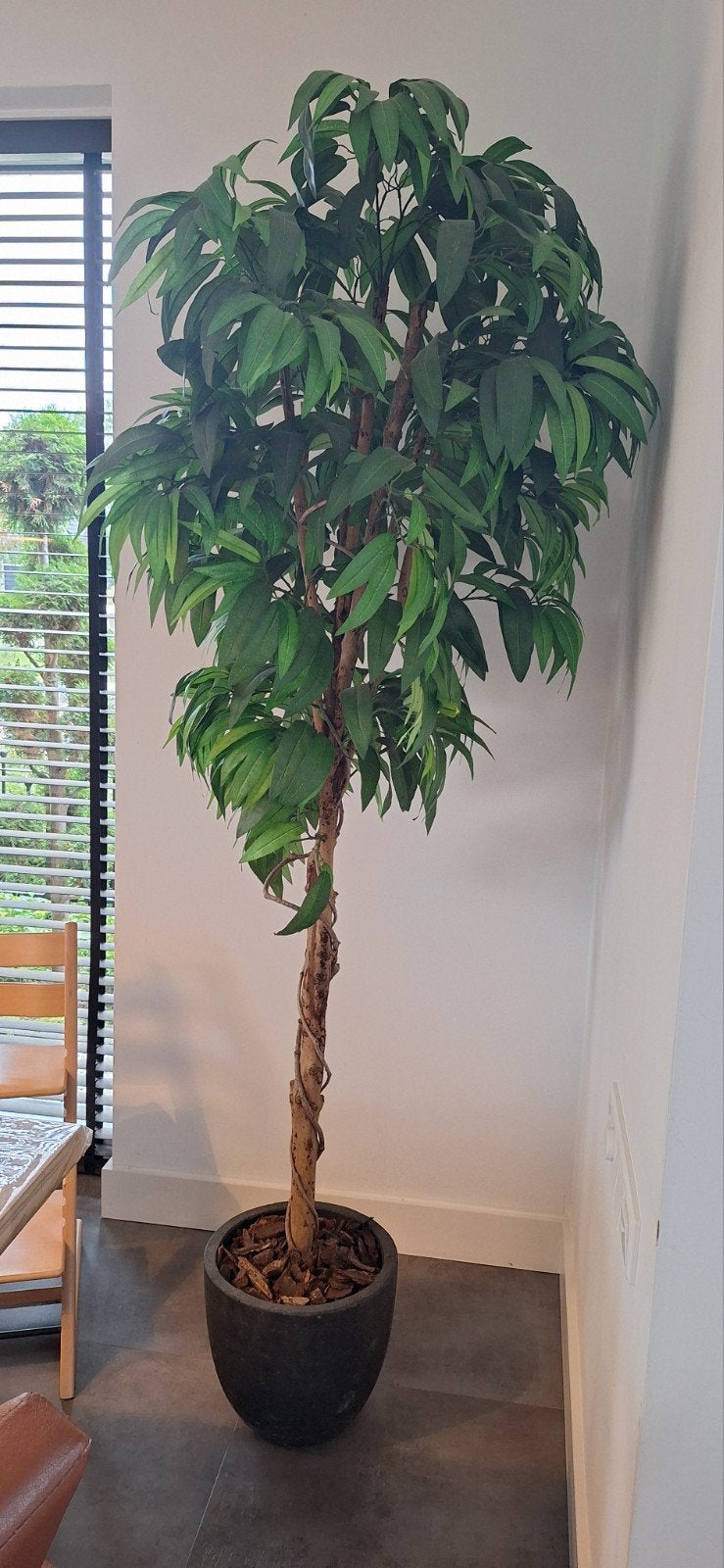 Palm (zijde plant), Ophalen, Binnen, Groen, Kunstplant
