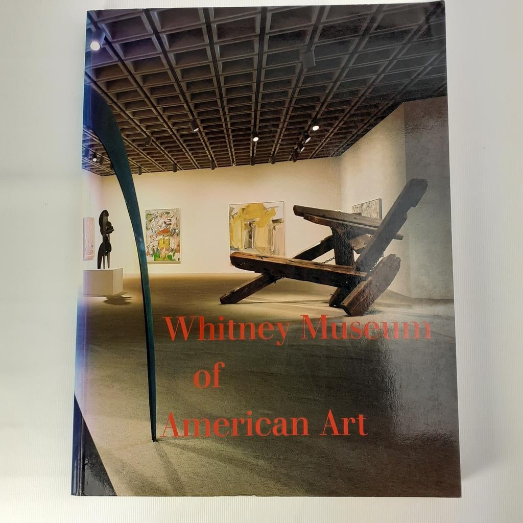 Whitney Museum of American Art 1991 kunstboek, Gelezen, Overige onderwerpen, Patterson Sims, Ophalen of Verzenden