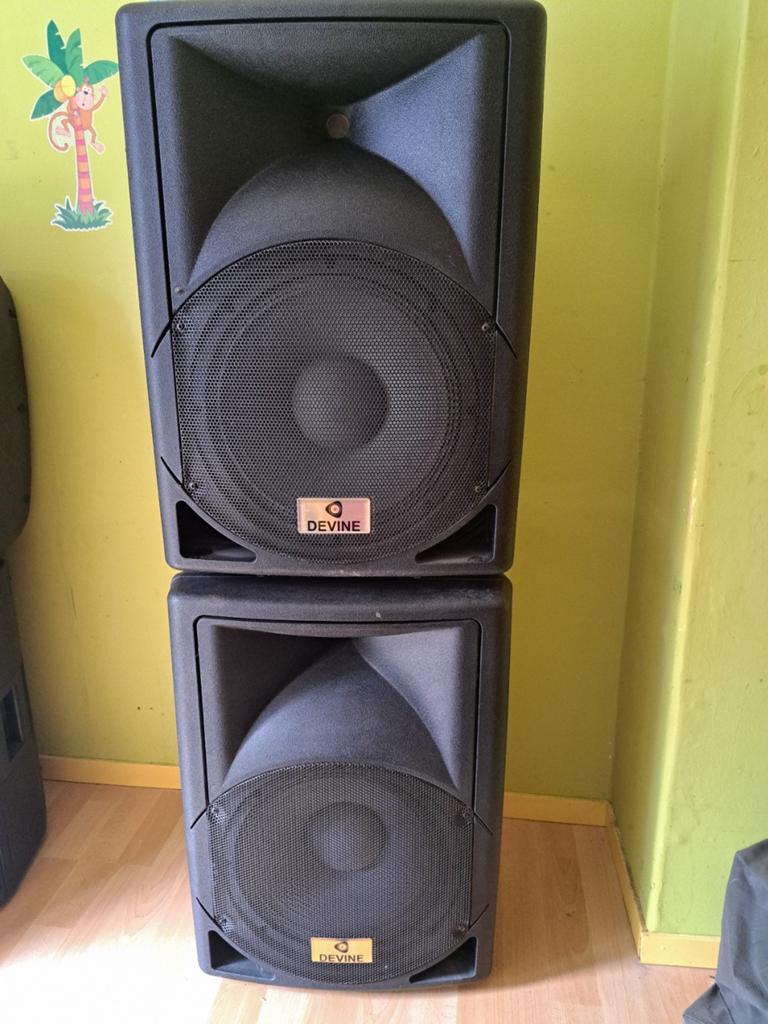 DEVINE ARTIS 12 Passieve PA Luidsprekers (Set van 2), Overige merken, Gebruikt, Ophalen of Verzenden, 120 watt of meer