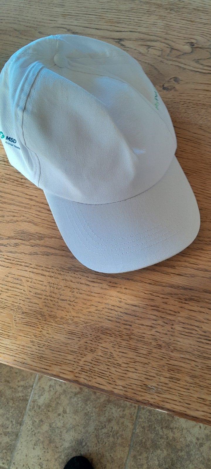 nieuwe pet, Ophalen of Verzenden, Nieuw, One size fits all