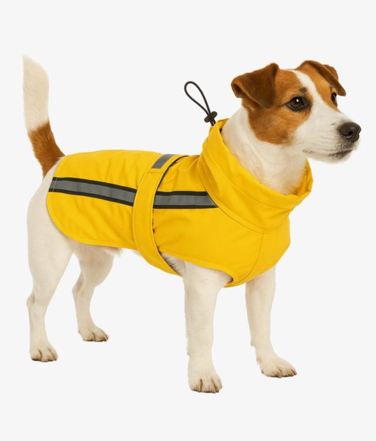 Regenjas hond nieuw, Ophalen, Nieuw, Hondenregenjas