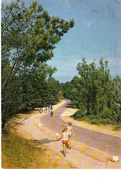 Ansichtkaart	Vlieland	Weg door de duinen, Verzamelen, Verzenden, 1960 tot 1980, Gelopen, Waddeneilanden