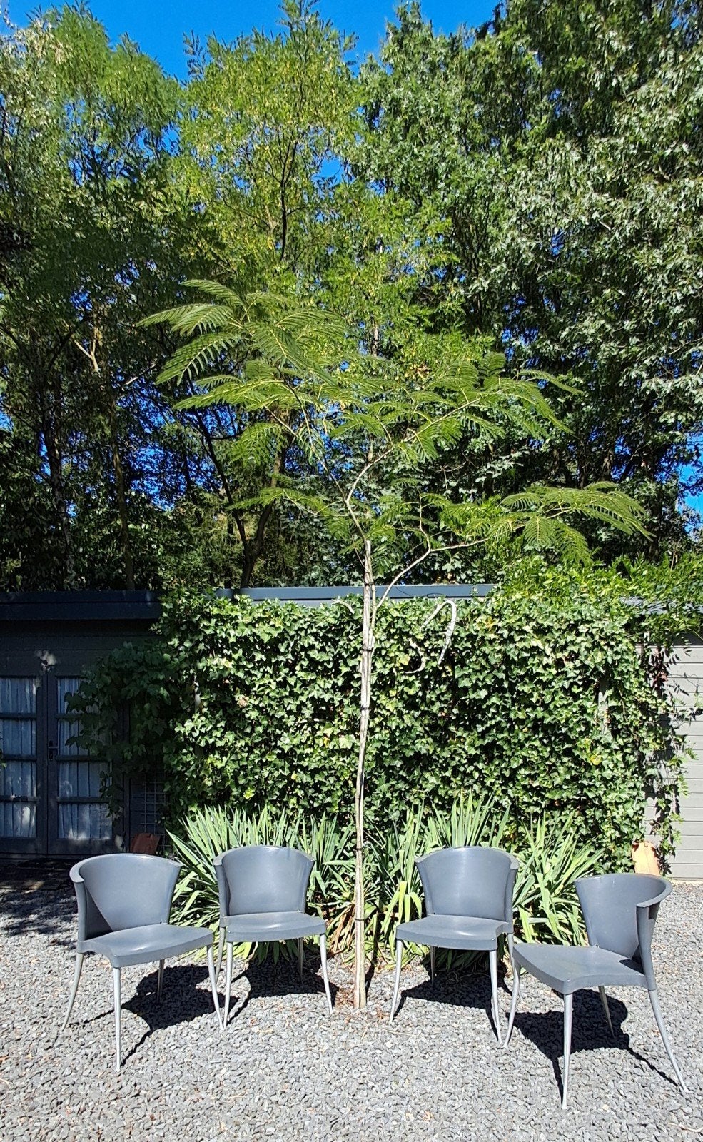 Paco Capdell Xuxa stoelen - Vicente Soto - Stapelbaar, Huis en Inrichting, Ophalen, Modern design, Vier, Grijs
