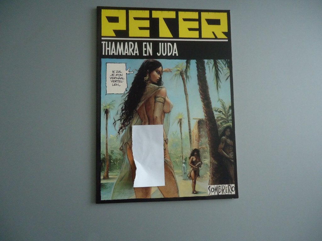 Peter zwarte reeks, Boeken, Stripboeken, Eén stripboek, Verzenden, Zo goed als nieuw, Sombrero