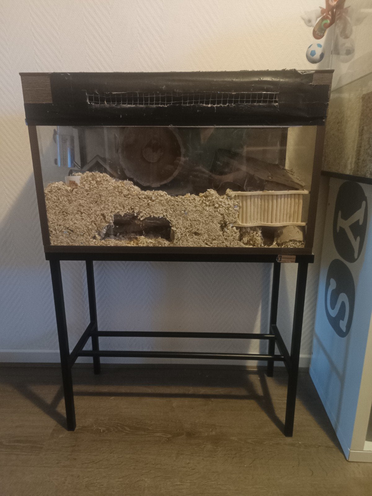 Hamster/ gerbril kooi van glas, Dieren en Toebehoren, Kooi, Minder dan 75 cm, Hamster, Ophalen