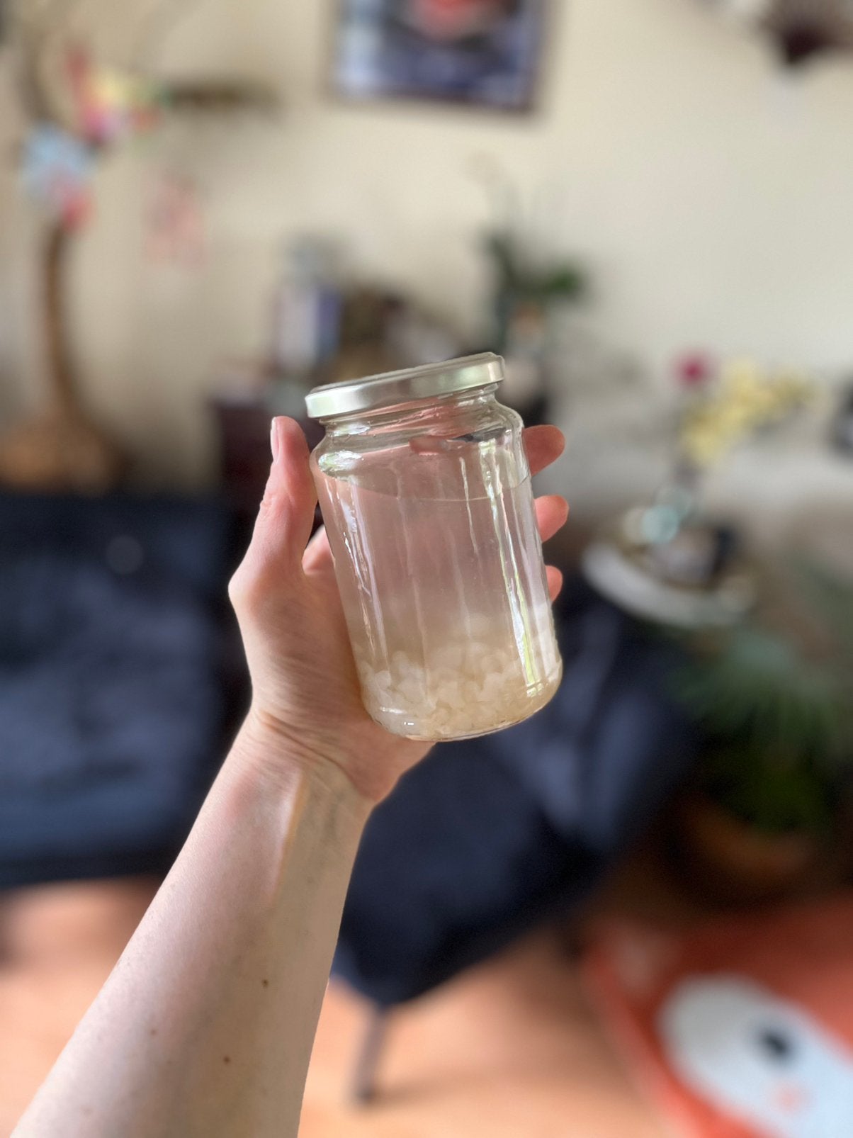 Water Kefir Grains – Natural Fermentation Starter Culture, Ophalen of Verzenden